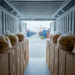 Dehydrated Natural Dried Mango Slices